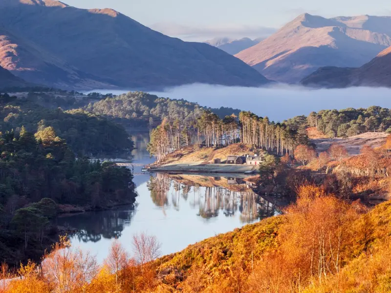 Misty Highland glen with a whitewashed distillery nestled beside a river at dawn